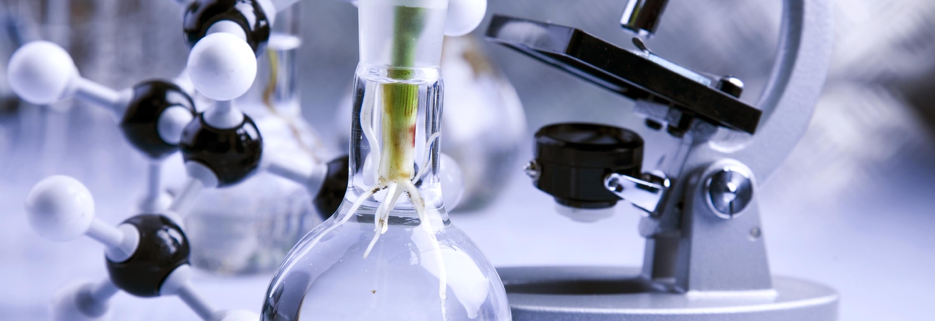 Bioquimica